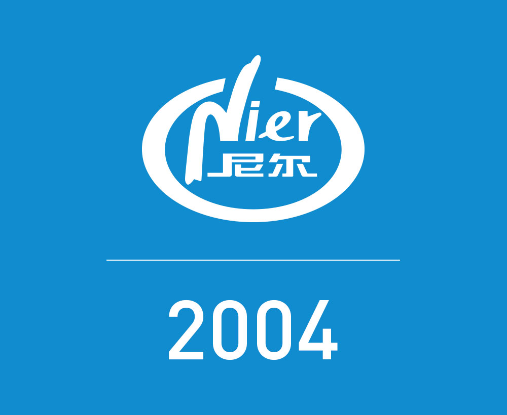 2004年發展史