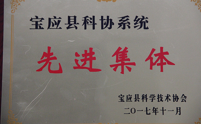 公司科協榮獲寶應“先進集體”稱號