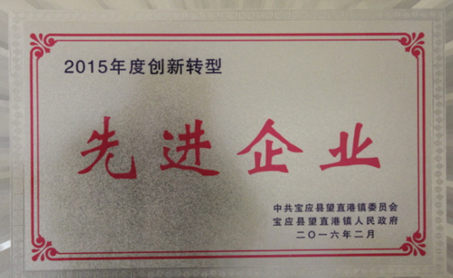 公司近期所獲寶應縣望直港鎮黨委、政府授予的榮譽