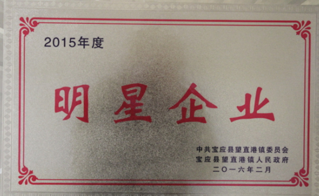公司近期所獲寶應縣望直港鎮黨委、政府授予的榮譽